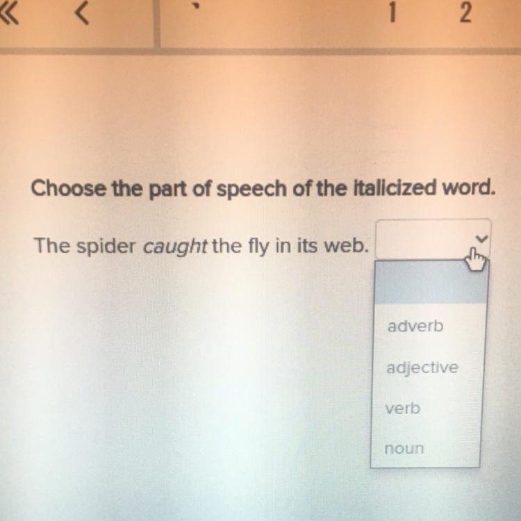 Choose the part of speech of the italicized word. The spider caught the fly in its-example-1