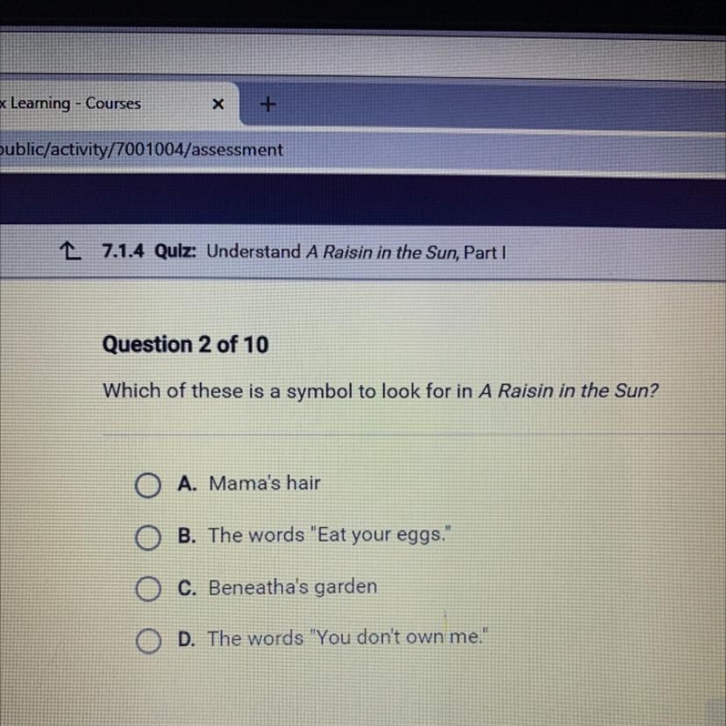 Which of these is a symbol to look for in A Raisin in the Sun?-example-1