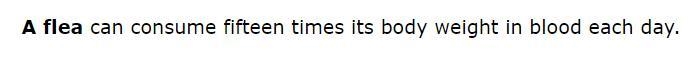 Select the pronoun whose antecedent is a " flea ".-example-1