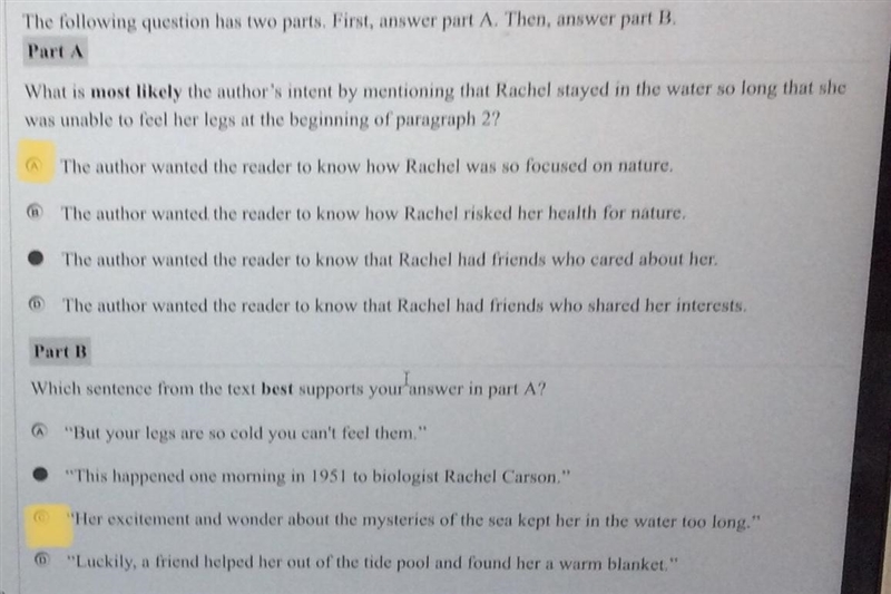 Is what I highlighted correct?-example-1