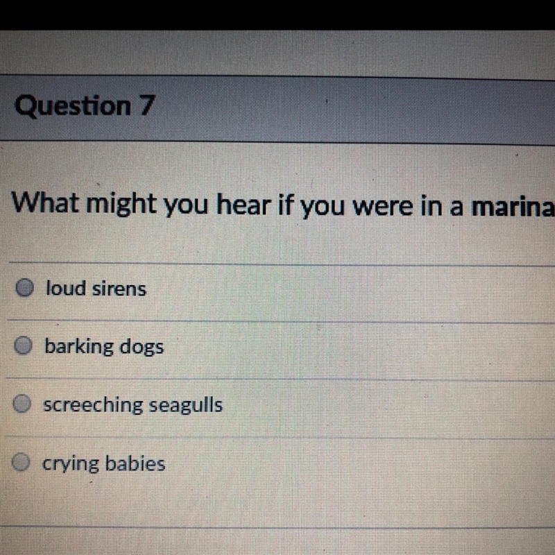 What might you hear if you were in a marina? 1. loud sirens 2. barking dogs 3. screeching-example-1