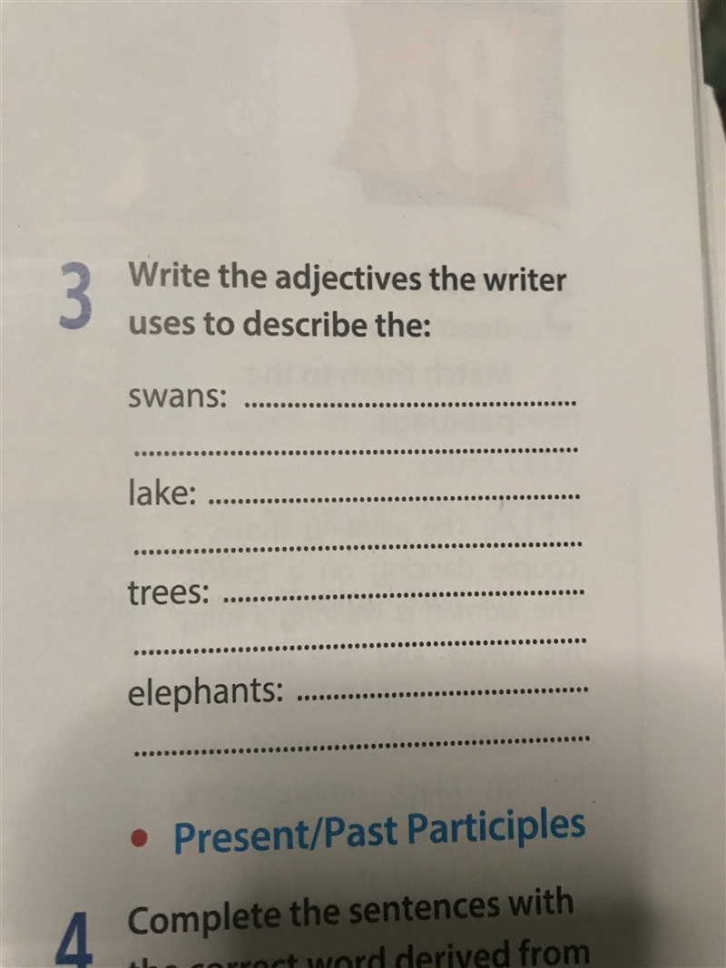 Write the adjectives the writer uses to describe the:-example-1