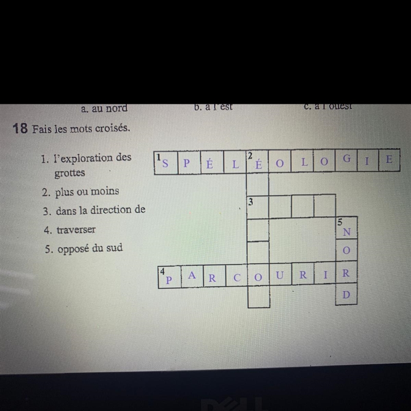 Fais les mots croisés. PLEASE HELP-example-1