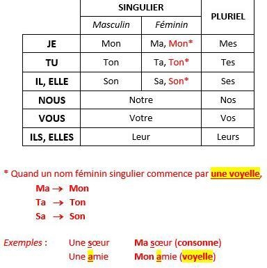 Lee adjectives possessifs Someone pls help me in French homework-example-1