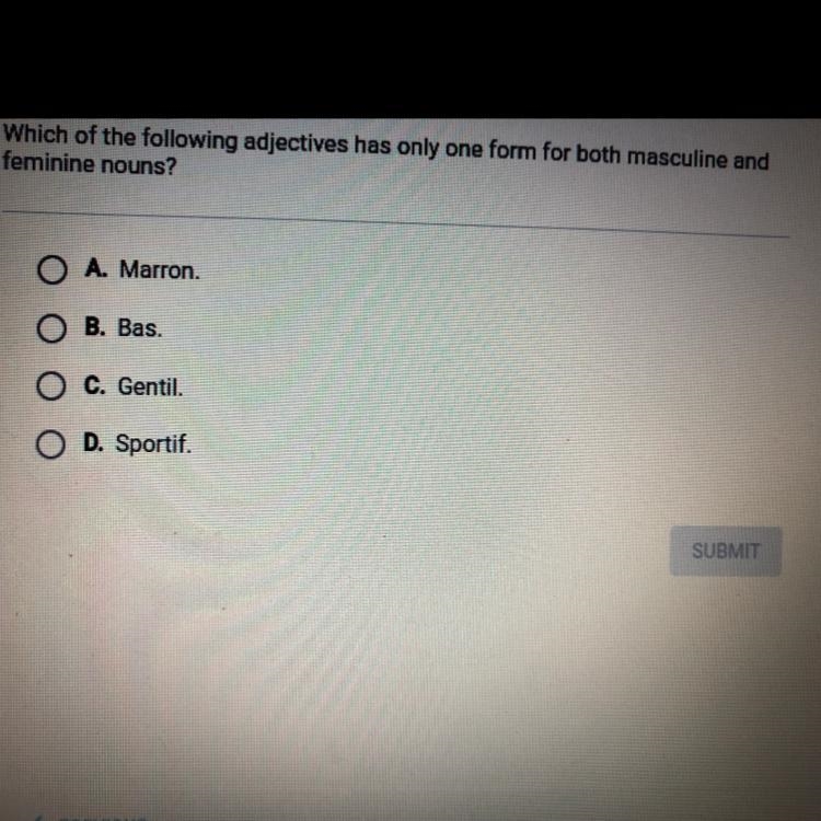 Which of the following adjectives has only one form for both masculine and feminine-example-1