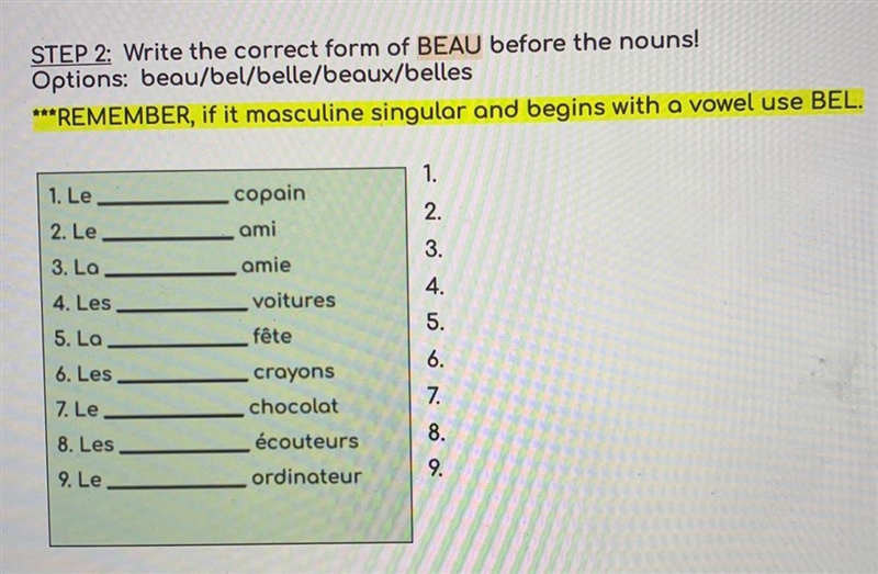 Write the correct form of BEAU before the nouns! Options : beau/bel/belle/beaux/belles-example-1