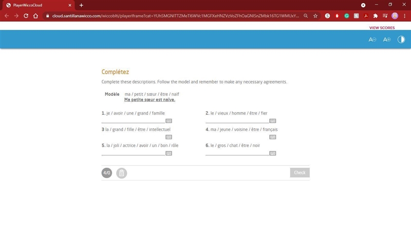 Complete these descriptions. Follow the model and remember to make any necessary agreements-example-1