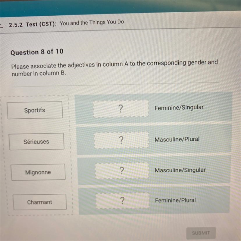 2.5.2 Test (CST): You and the Things You Do Question 8 of 10 Please associate the-example-1