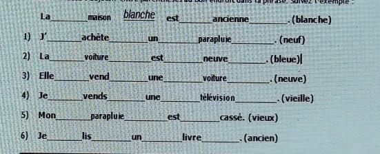 Section 1: placez l'adjectiff entre parenthèses au bon endroit dans la phrase. Suivez-example-1