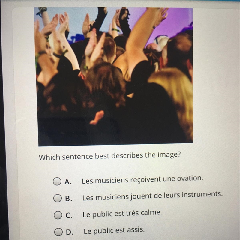 Which sentence best describes the image? A. Les musiciens reçoivent une ovation. B-example-1