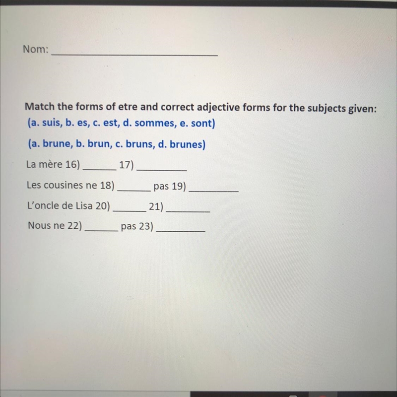 Match the forms of etre and correct adjective forms for the subjects given: Some please-example-1