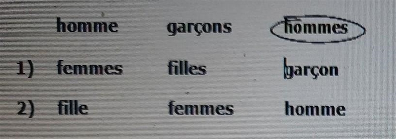 Entourez le mot qui n'appartient pas au groupe (singulier/pluriel). Suivez l'exemple-example-1