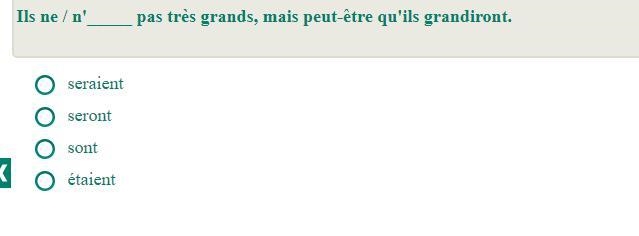 Choisis la meilleure conjugaison pour completer la phrase suivante.-example-4