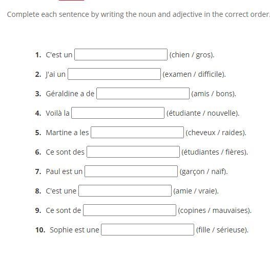 Complete each sentence by writing the noun and adjective in the correct order.-example-1