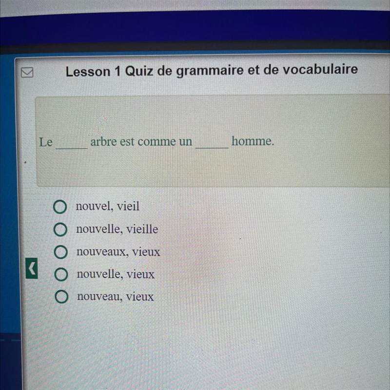 Le_______ arbre est comme un ______ homme. 1. nouvel, vieil 2. nouvelle, vieille 3. nouveaux-example-1