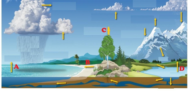 Study the diagram below. water cycle Which pair of arrows are pointing to the same-example-1