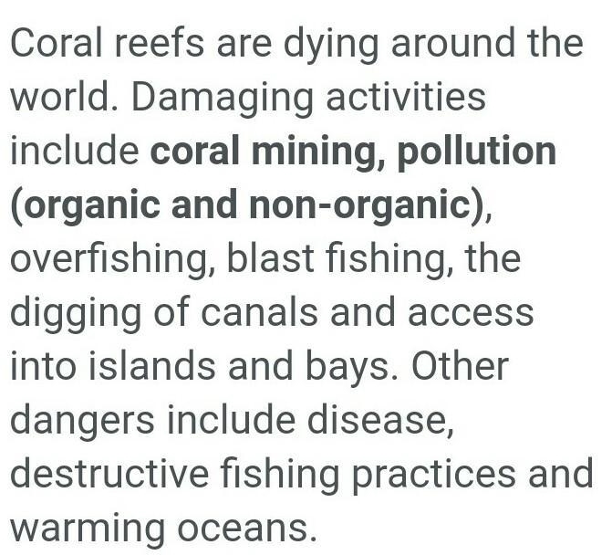 What are the causes of dead coral reef ?-example-1