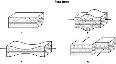 Describe the rock layers shown in Diagram A and any forces acting on the rock.-example-1