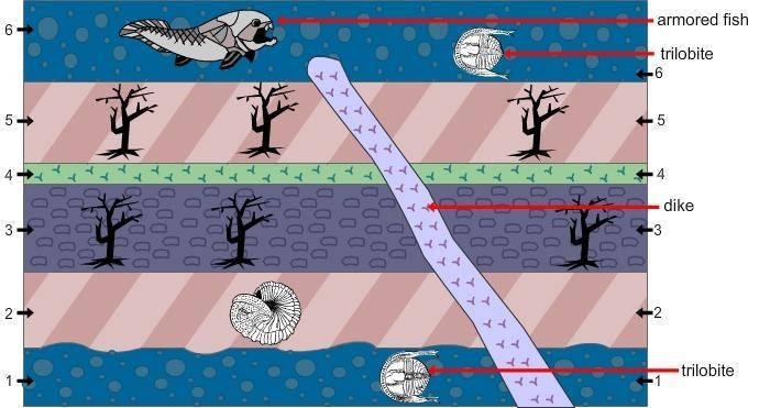 Which layer of rock is the oldest? A: Layer 1 B: Layer 2 C: Layer 5 D: Layer 6-example-1