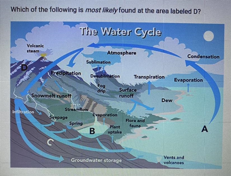 Which of the following is most likely found at the area labeled D? A)Groundwater B-example-1