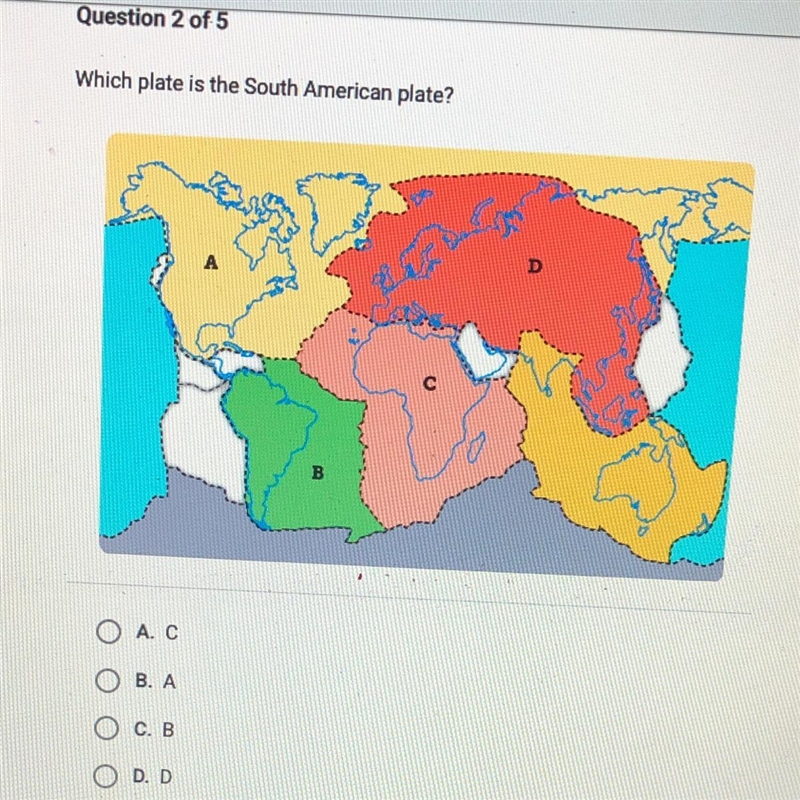 Which plate is the South American plate? A. C B. A C. B D. D-example-1