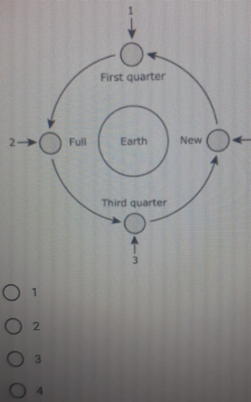 10 point The diagram below shows four phases of the moon as it revolves around Earth-example-1