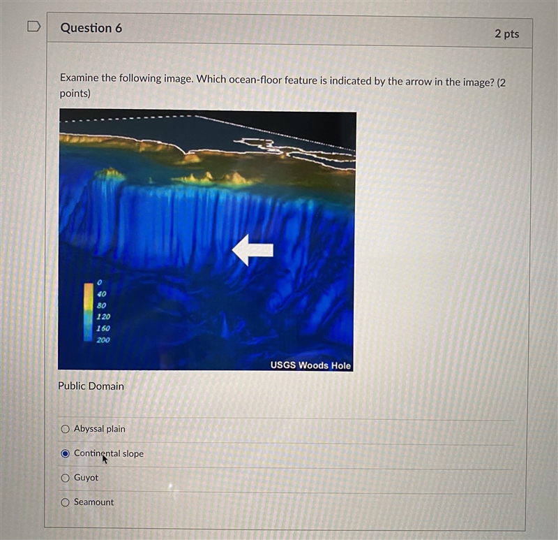 Examine the following image. Which ocean floor feature is indicated by the arrow in-example-1