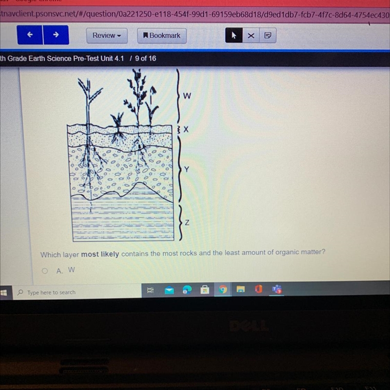 Which layer most likely contains the most rocks and the least amount of organic matter-example-1