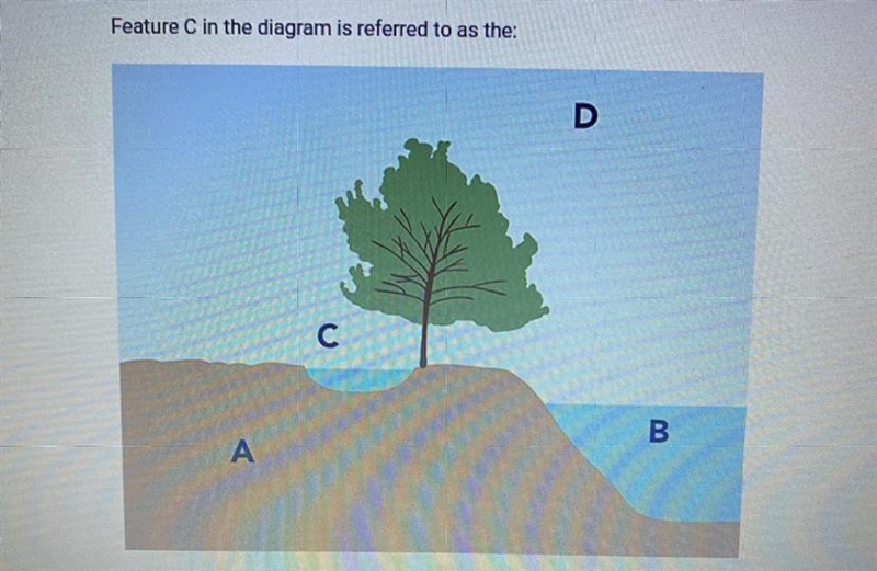 :) HELP A. hydrosphere. B. lithosphere. C. biosphere. D. atmosphere.-example-1