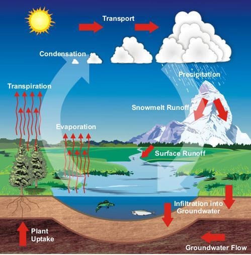 URGENT! Look at the image of the water cycle. Imagine that a farm uses nitrogen based-example-1