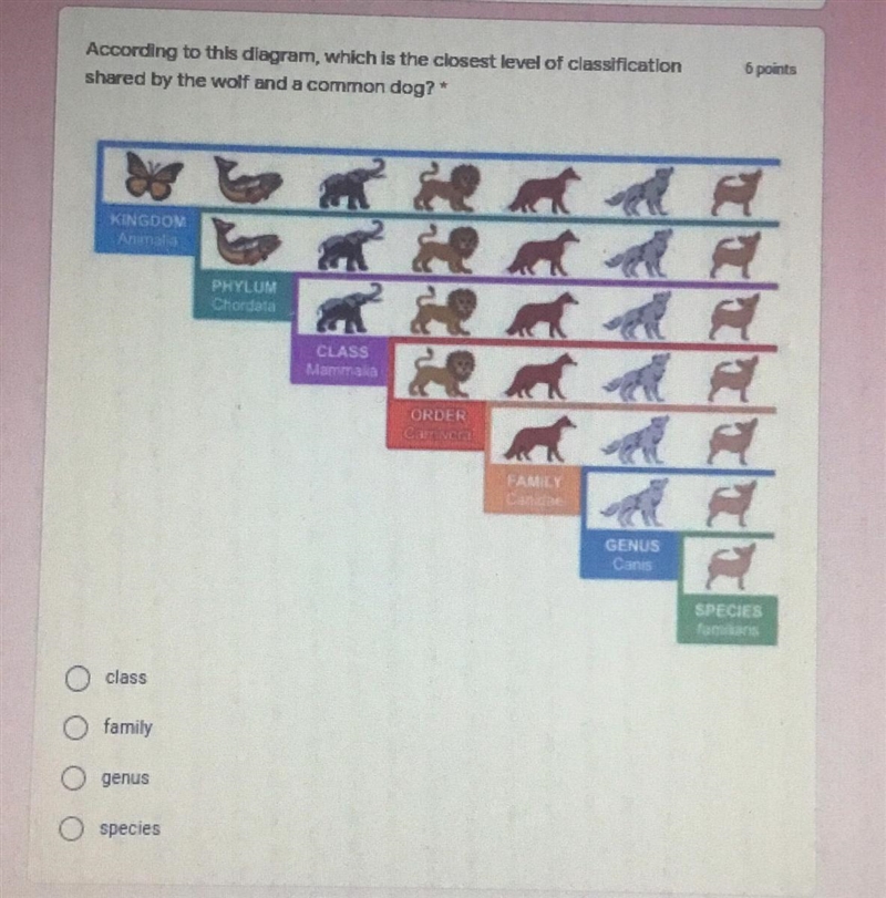 Help me out with these!!!-example-1