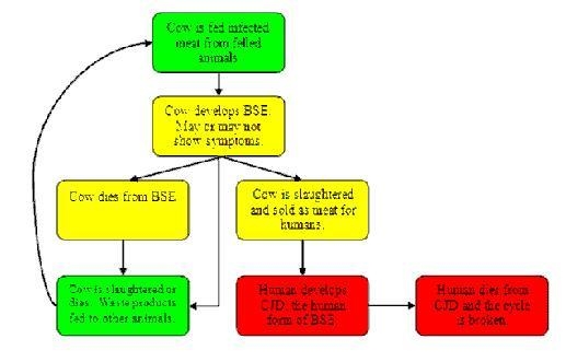 Review the following chart. Use sequencing to shape a summary of the main ideas. Be-example-1