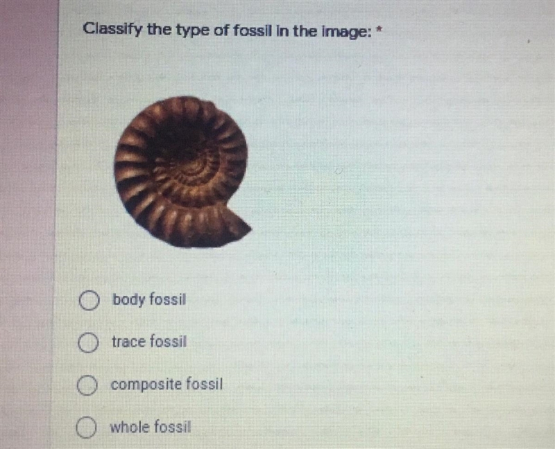 Classify the type of fossil-example-1