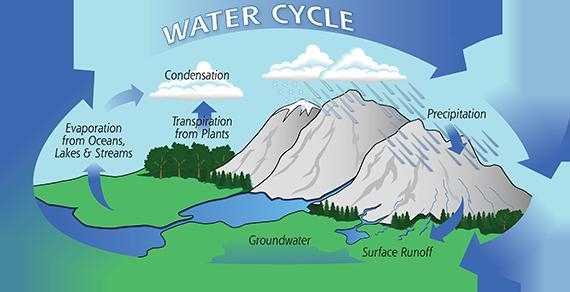 What is the water droplet cycle-example-1