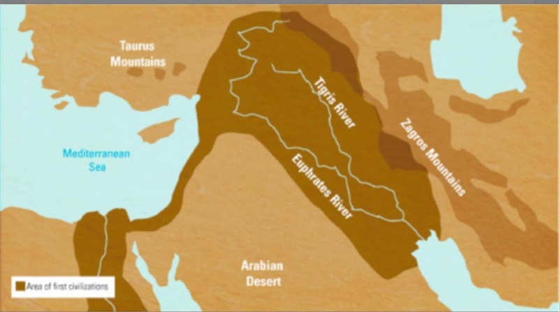 Which of the following soil-building processes contributed most to making the shaded-example-1