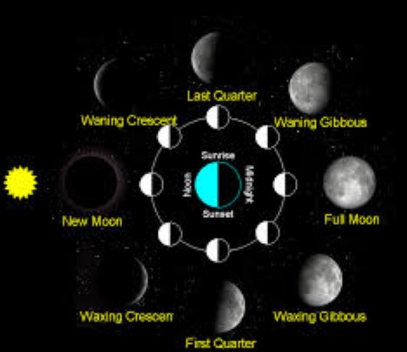 Please Help What phase of the Moon is show below?-example-1