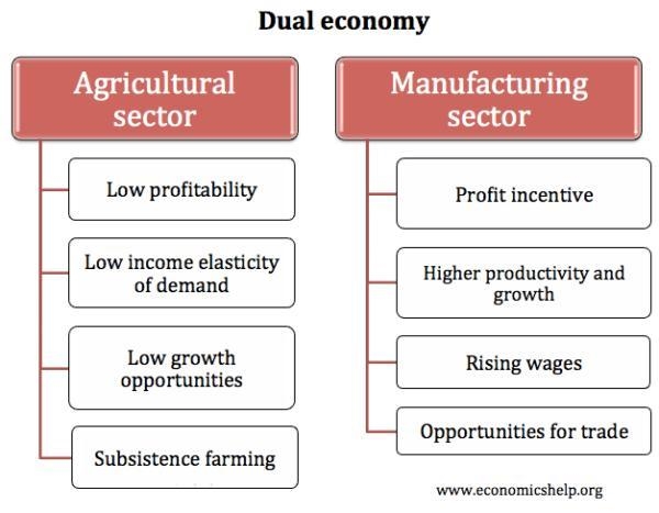 Can someone help i’m panicking examples of dual agricultural economy-example-1