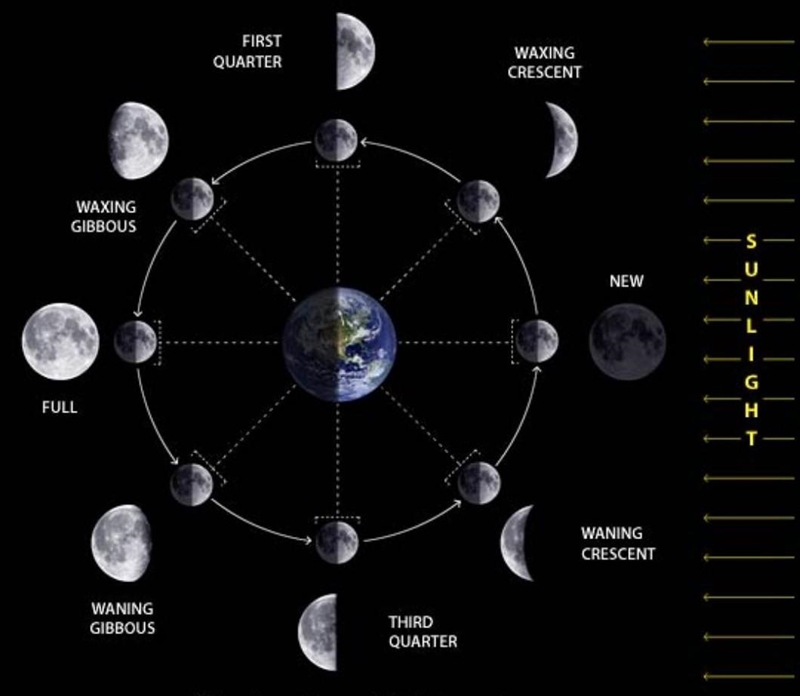 Explain phases of moon . ​-example-1