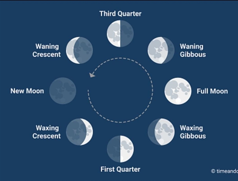 Please Help What phase of the Moon is show below?-example-2