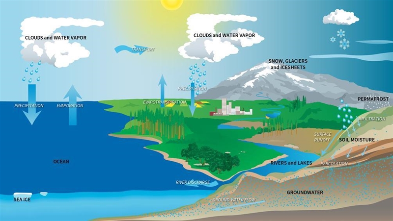 5.Which of the following key words are associated with the water cycle?. Multiple-example-1