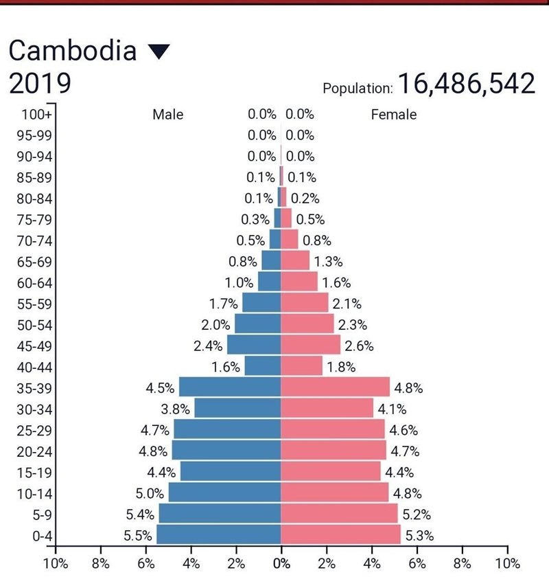 what type of population pyramid does cambodia have? expansive, constructive, or stationary-example-1