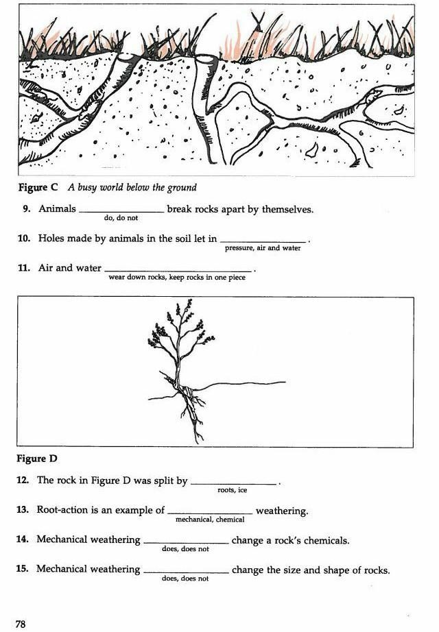 Answer these question for me plss​-example-1