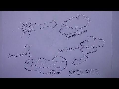 2. How well does the above "model" demonstrate the water cycle? Support-example-1