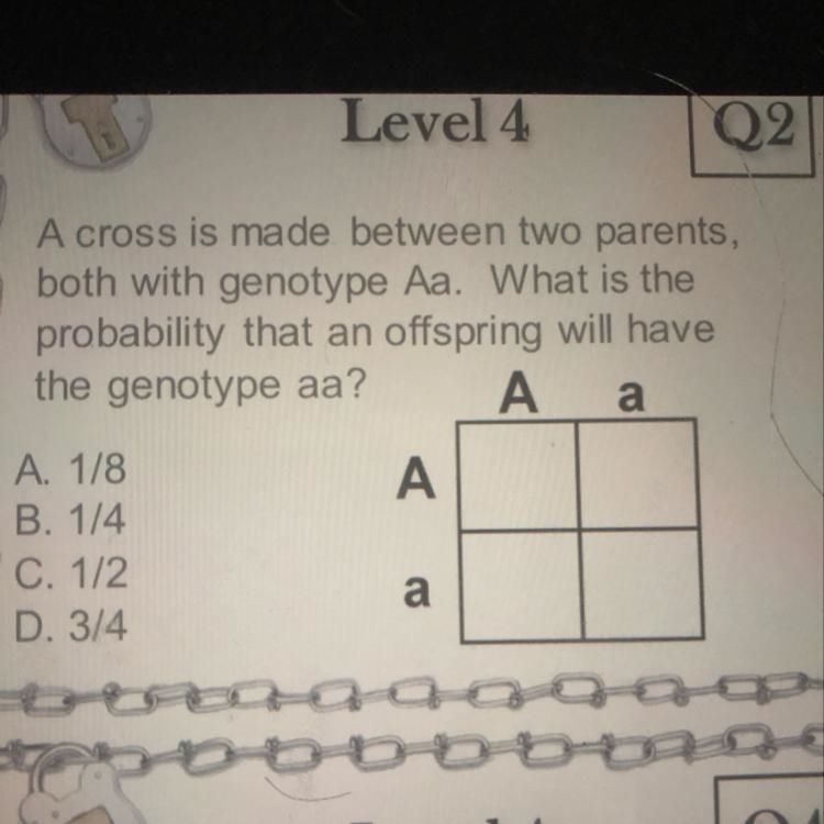 A cross is made between two parents, both with genotype Aa. What is the probability-example-1