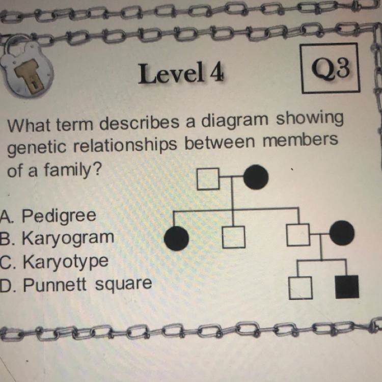 What term describes a diagram showing genetic relationships between members of a family-example-1