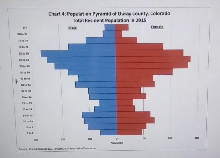 What kind of population is shown in this image? A. Constrictive B. Expansive C. Stationary-example-1