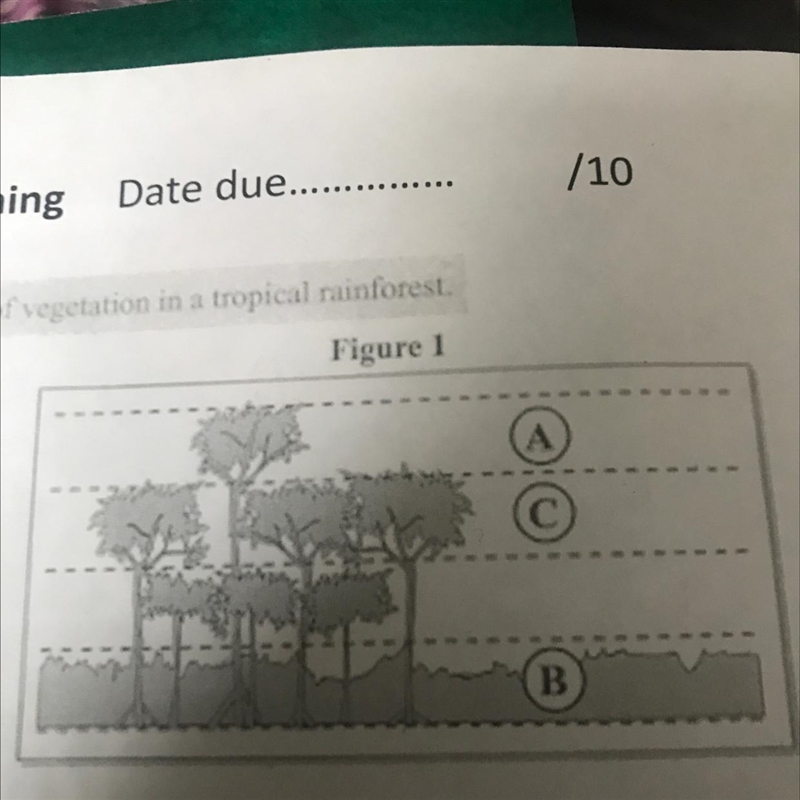 Study Figure 1, a diagram showing layers of vegetation in a tropica Using Figure 1, describe-example-1