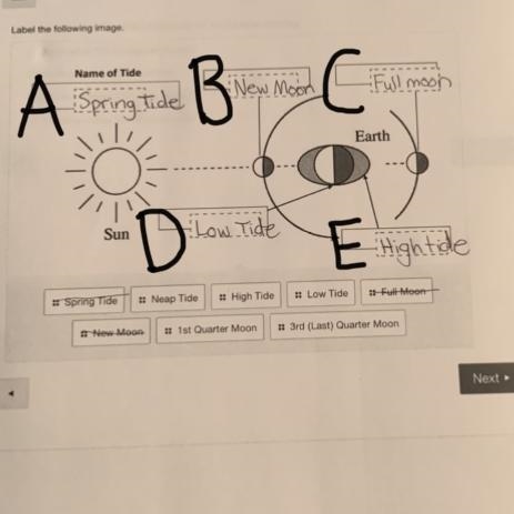 Please Help Label the diagram-example-1