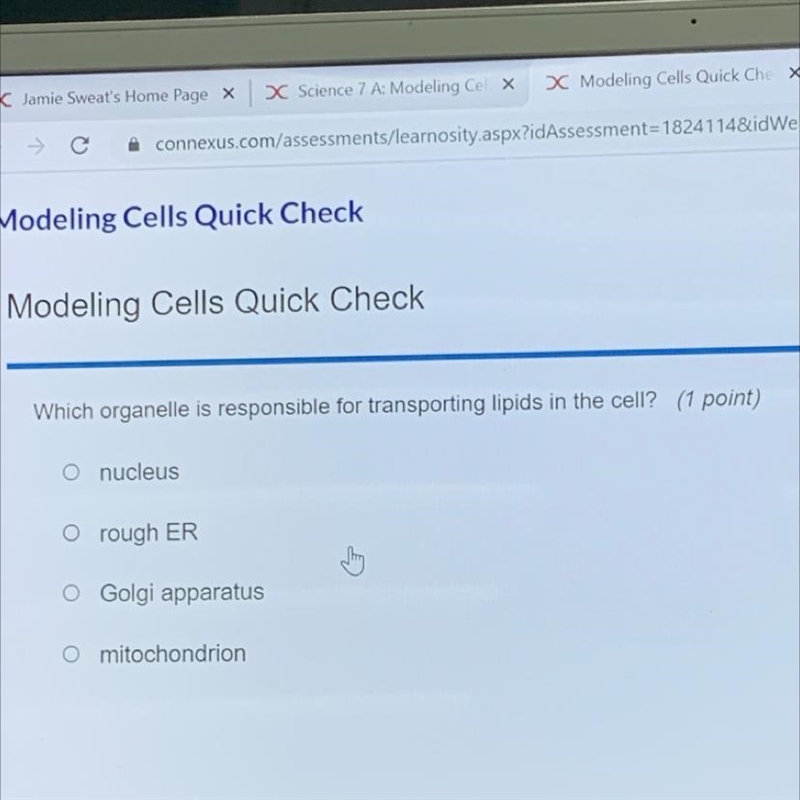 Which organelle is responsible for transporting lipids in the cell? A. nucleus B. rough-example-1