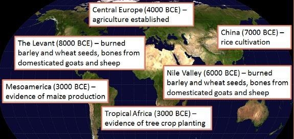 Based on discovered evidence, in what part of the world were the earliest human settlements-example-1